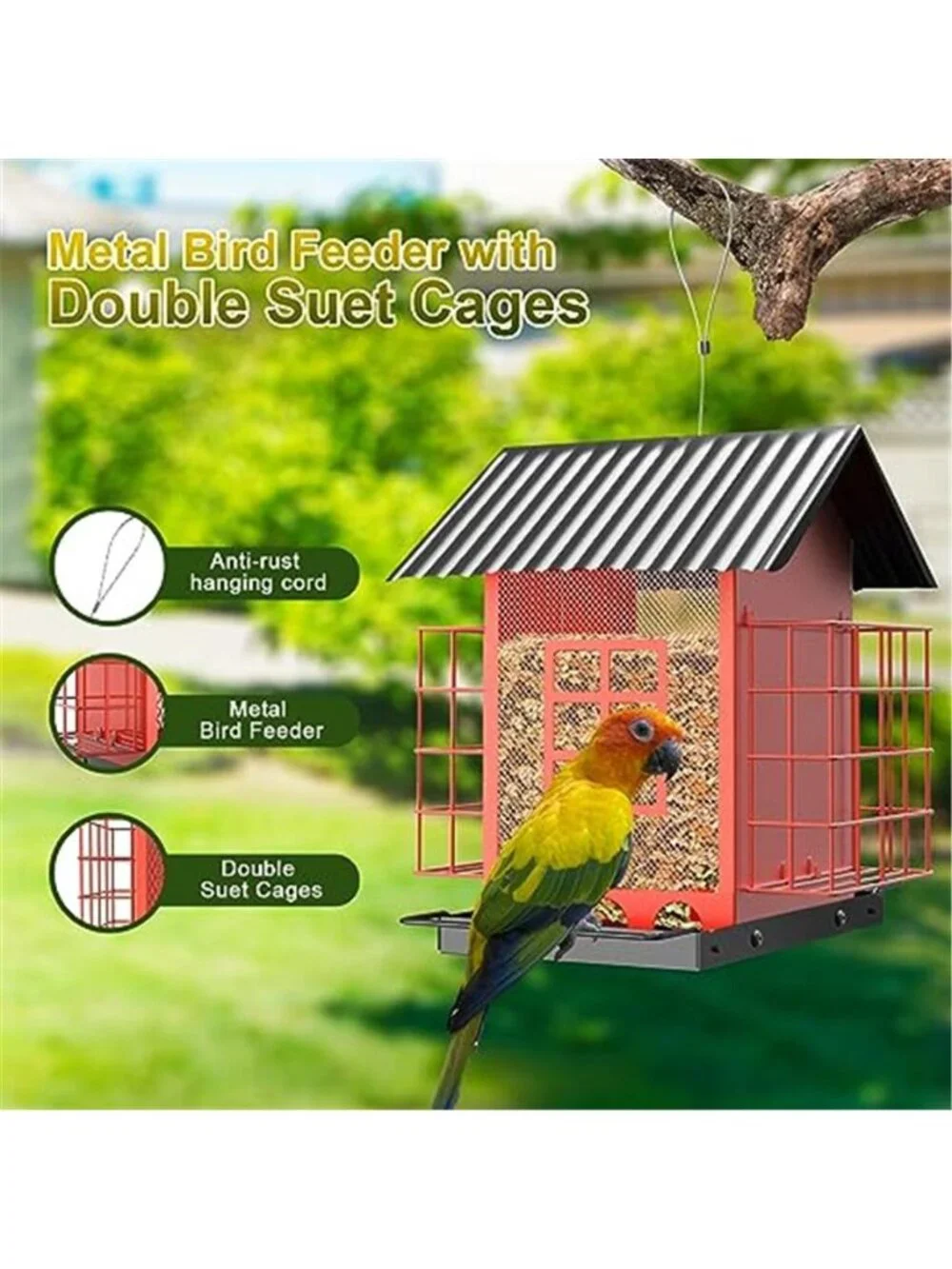 Bird Feeders for Outdoors Hanging, Metal Bird Feeder with Double Suet Cage Cake